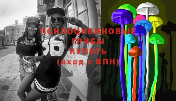 mdpv Тайга