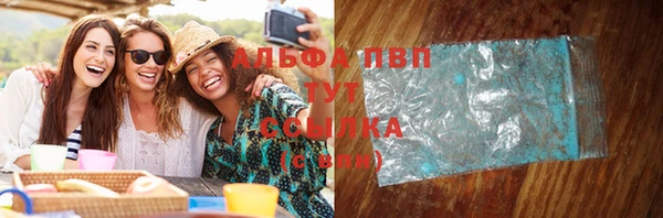 гидра Волоколамск