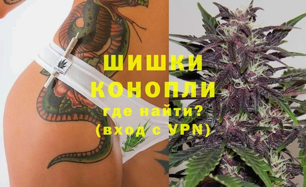 бошки Верея