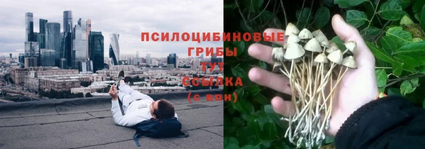бошки Верея