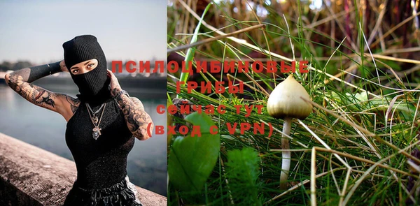 дурь Волосово