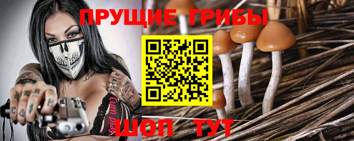 Псилоцибиновые грибы Psilocybe  Вход с VPN  Галлюциногенные грибы GOLDEN TEACHER  Мончегорск 